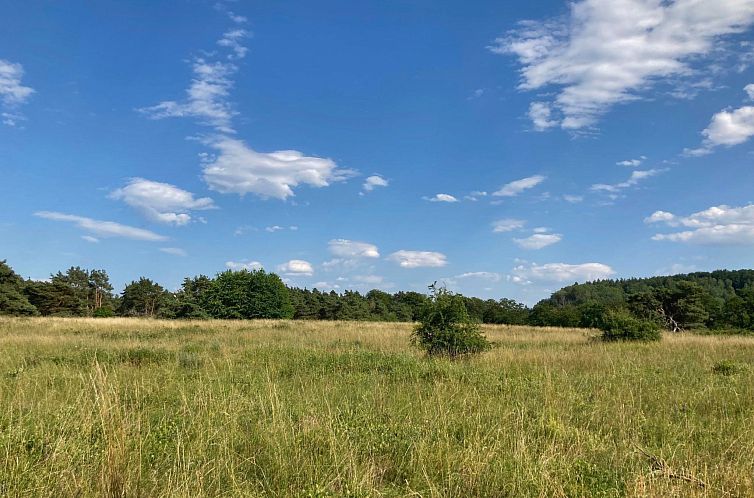 Appartement Eulennest