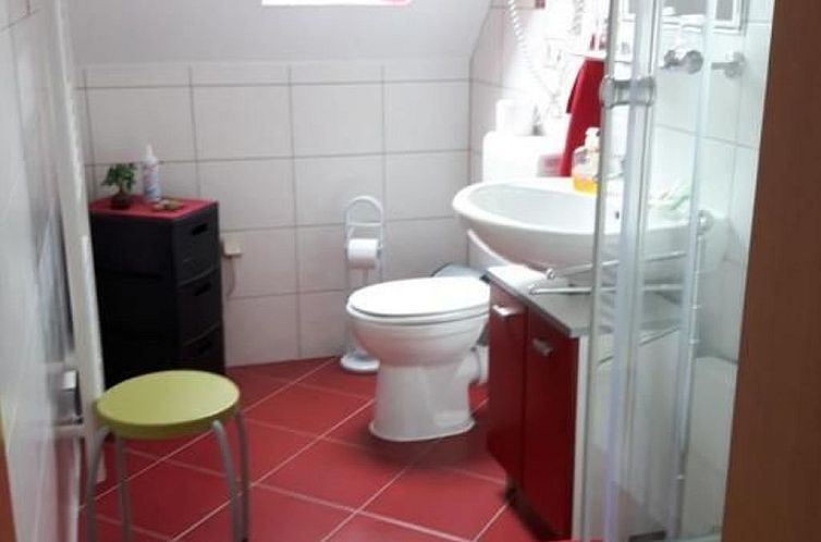 Vakantiehuis Haus Wellness