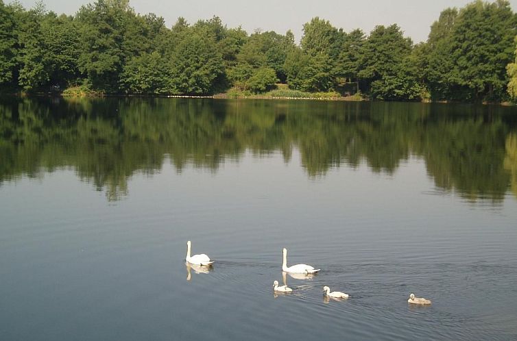 Vakantiehuis Haus Aschenputtel