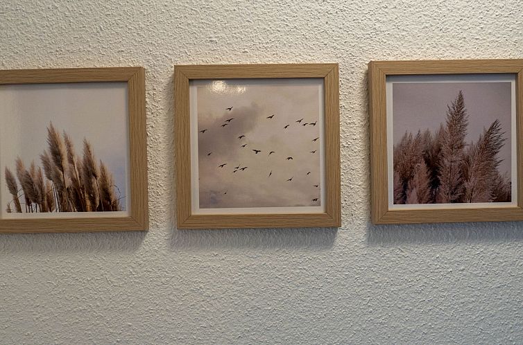 Vakantiehuis Aurora Lodge