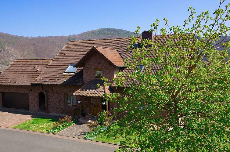 Guest house 0246701 - Apartment Hessen - Appartement Fewo Dirks 2