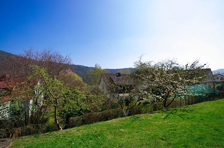 Appartement Fewo Dirks 2