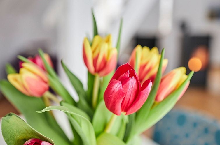 Vakantiehuis Komfortables Ferienhaus in purer Natur