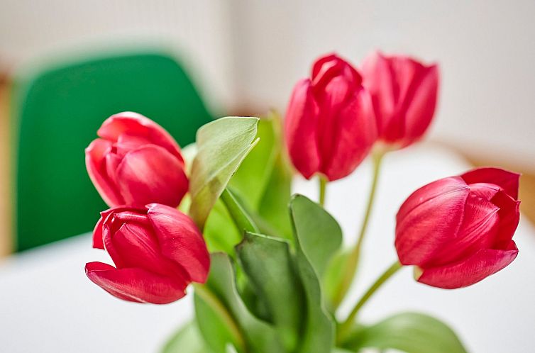 Vakantiehuis Komfortables Ferienhaus in purer Natur