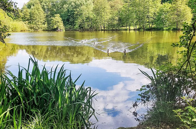 Vakantiehuis De Bosrand