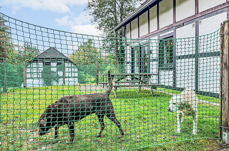 Appartement Am Sternberg 230