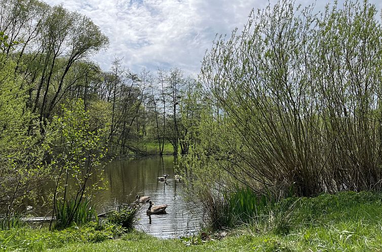 Vakantiehuis Elke's Traum
