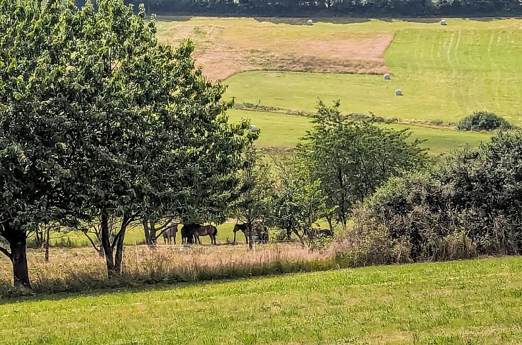 Vakantiehuis Am Sternberg 115