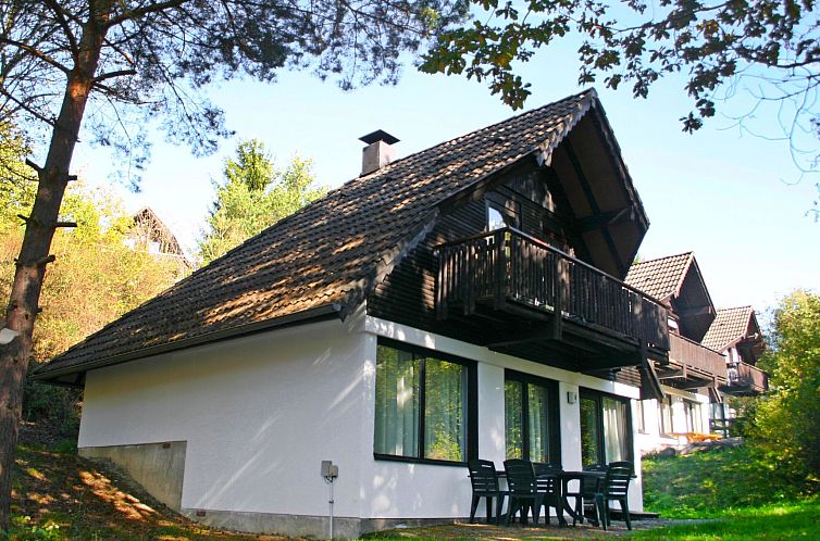 Guest house 0247930 - Holiday property Hessen - Vakantiehuis Eric
