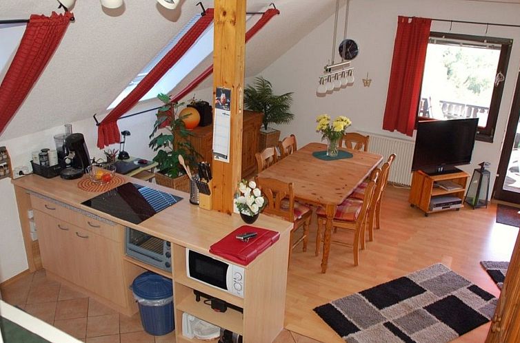 Appartement Wohnung in Feriendorf Frankenau mit Grill