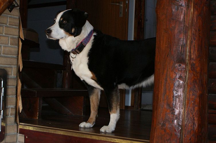 Vakantiehuis mit Terrasse und Grill