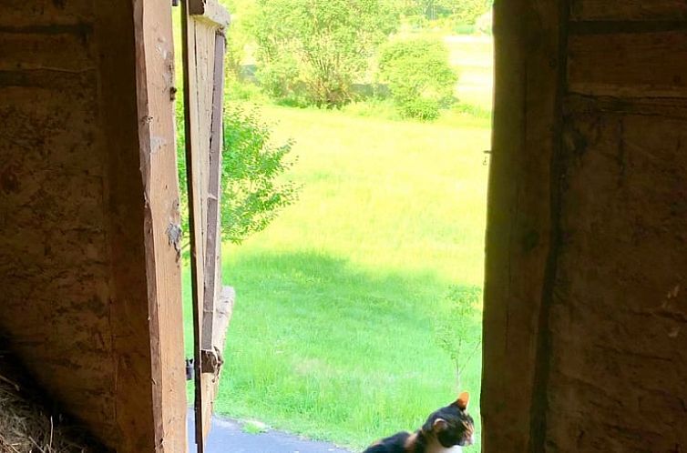 Vakantiehuisje in Alheim - Hergershausen