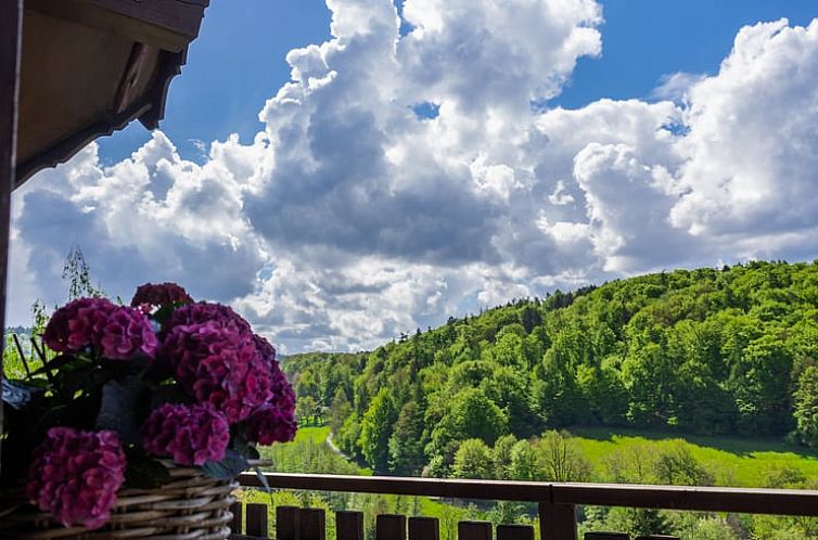 Vakantiehuisje in Reichelsheim