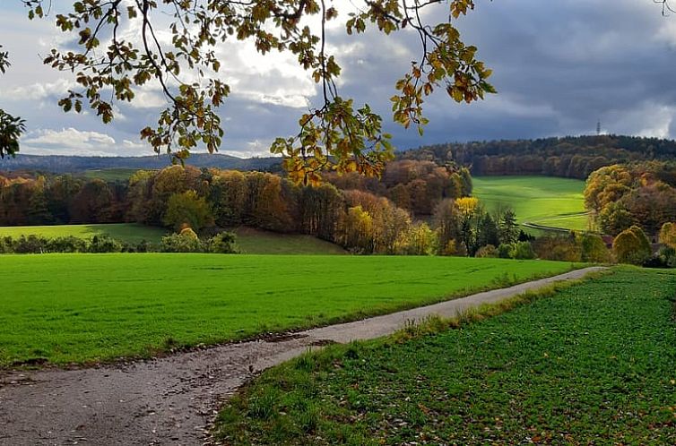 Vakantiehuisje in Reichelsheim