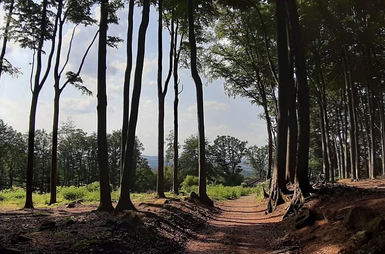 Vakantiehuisje in Reichelsheim