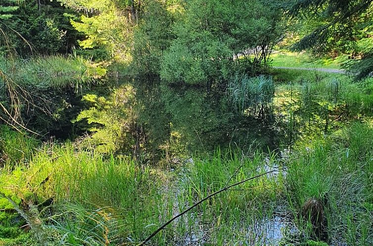 Vakantiehuisje in Reichelsheim