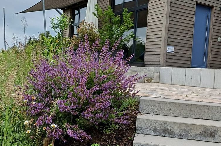 Vakantiehuisje in Reichelsheim