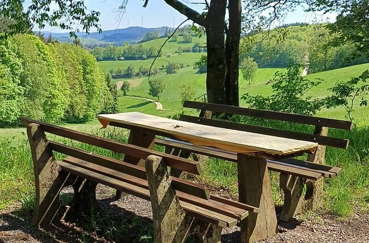 Vakantiehuisje in Reichelsheim