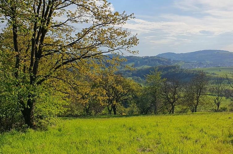 Vakantiehuisje in Reichelsheim