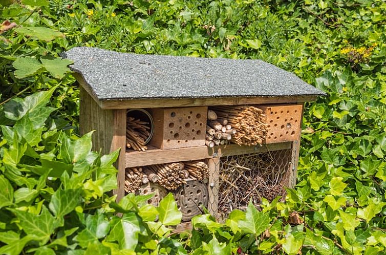 Vakantiehuis in Minheim