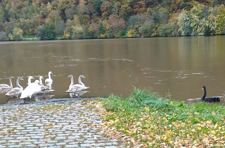 Vakantiehuis in Minheim