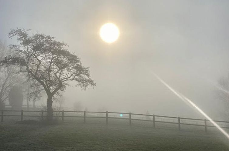 Vakantiehuisje in Ronse