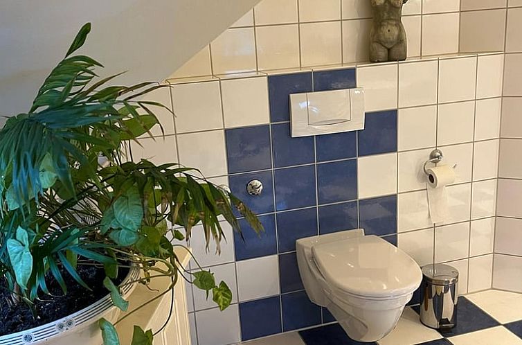 Vakantiehuis in Ürzig