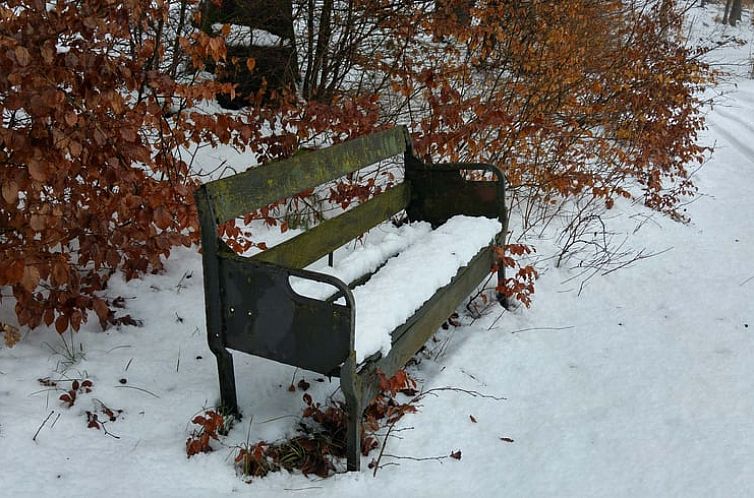 Vakantiehuis in Kerpen