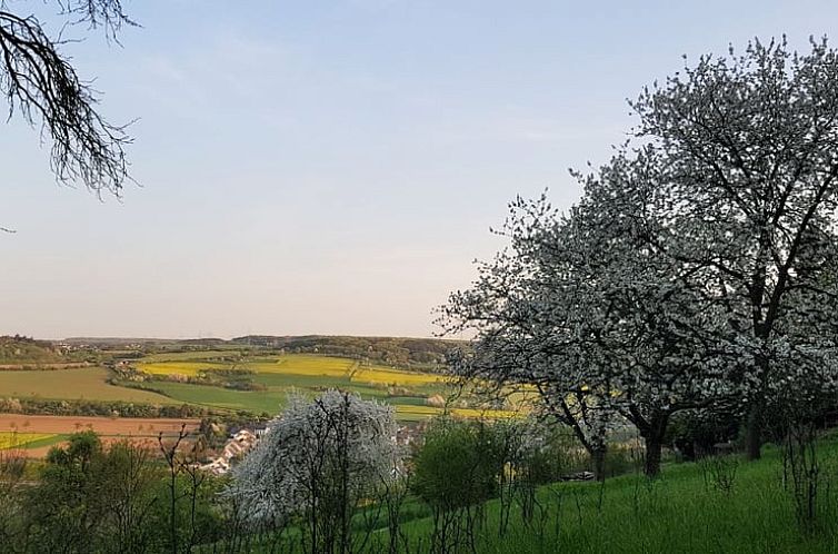 Vakantiehuis in Bad Neuenahr-Ahrweiler, Lohrsdorf