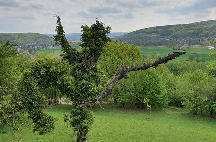 Vakantiehuis in Bad Neuenahr-Ahrweiler, Lohrsdorf