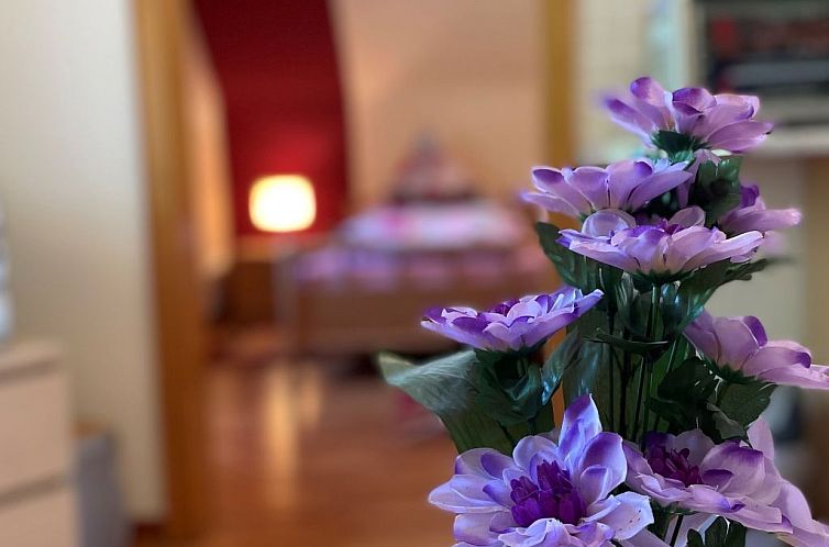 Appartement Kleeblatt