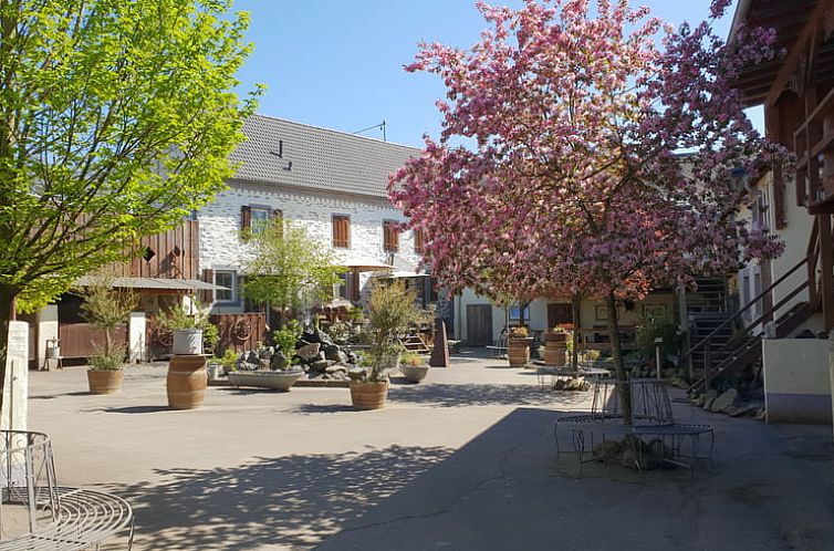 Vakantiehuis in Münstermaifeld