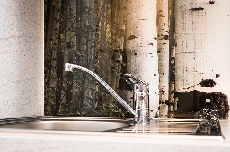 Appartement Eifelblick (B906)