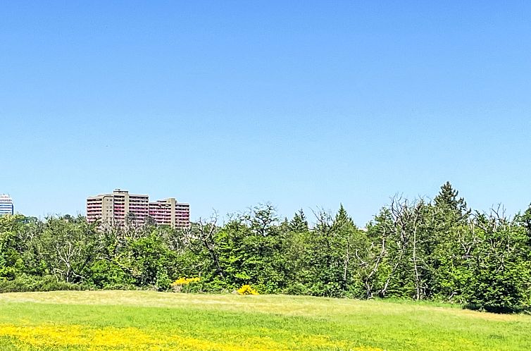 Appartement Eifelblick (B906)