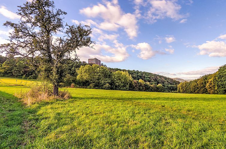 Appartement Gartenblick (B111)