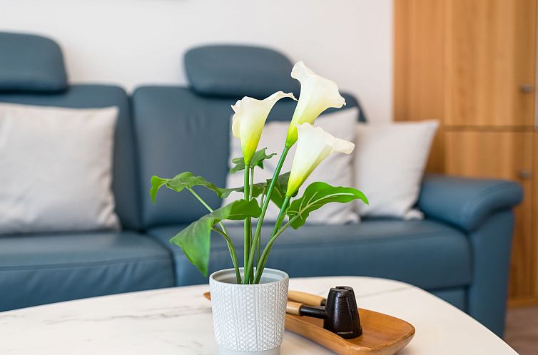 Appartement Horizont (B1014)