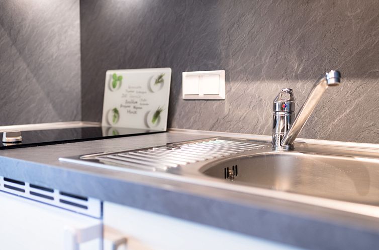 Appartement Burgblick (A1110)