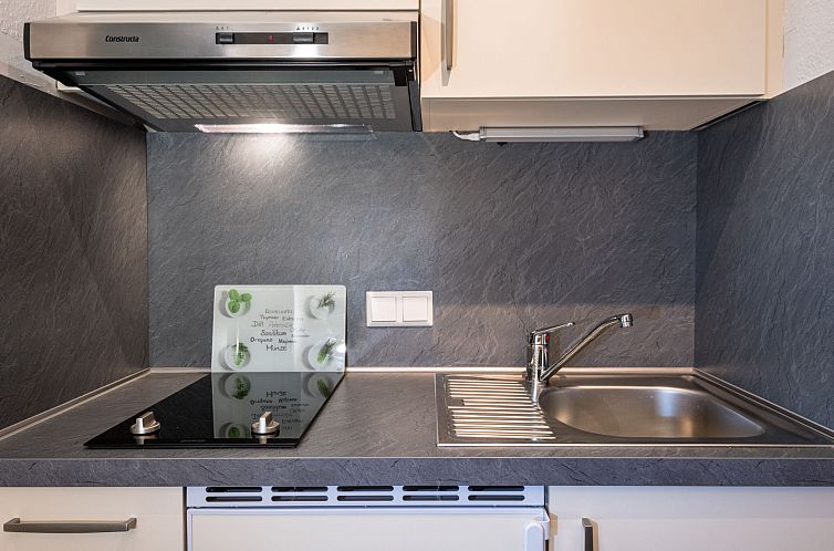 Appartement Burgblick (A1110)