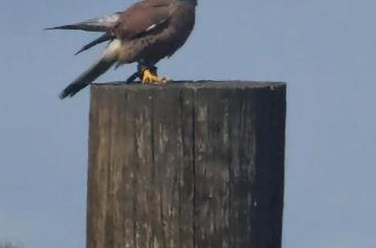 Vakantiehuisje in Pelm