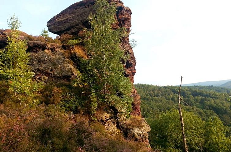 Vakantiehuis in Abenden