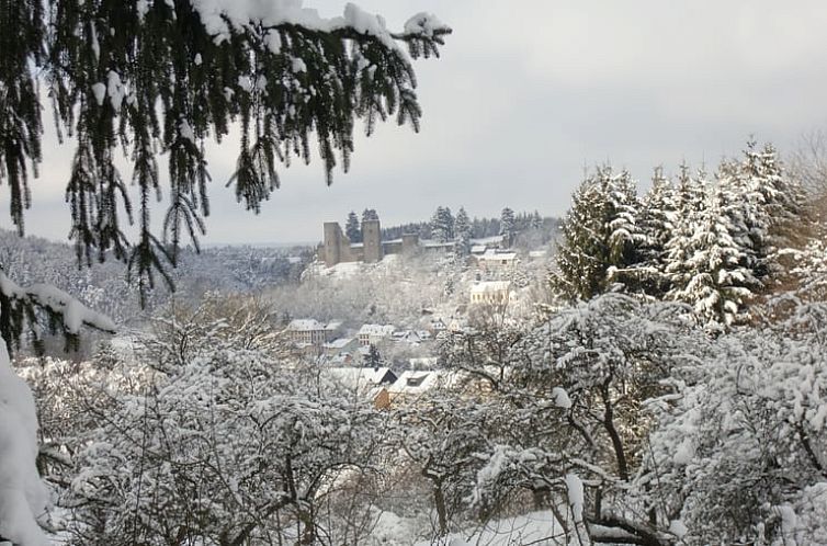 Vakantiehuisje in Schönecken
