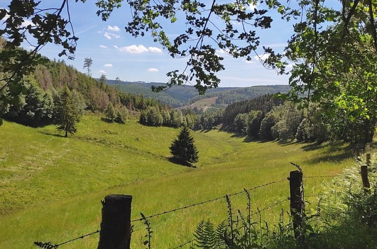 Ferienwohnung Winterberg, Haus Dorothee