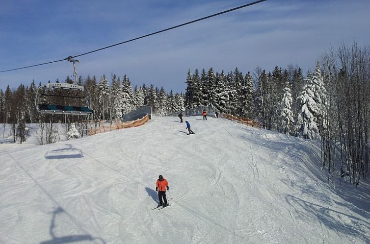 Ferienwohnung Winterberg, Haus Dorothee