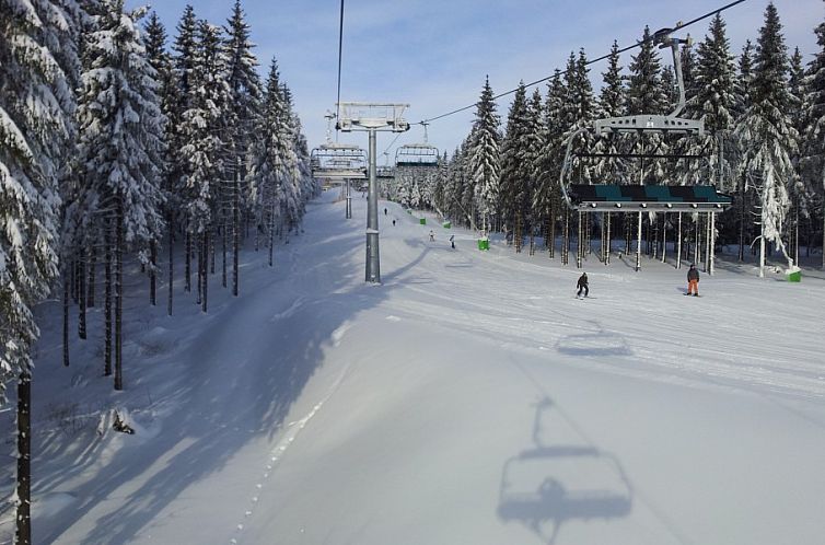 Ferienwohnung Winterberg, Haus Dorothee