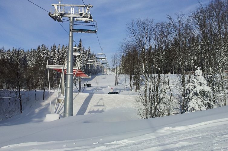Ferienwohnung Winterberg, Haus Dorothee