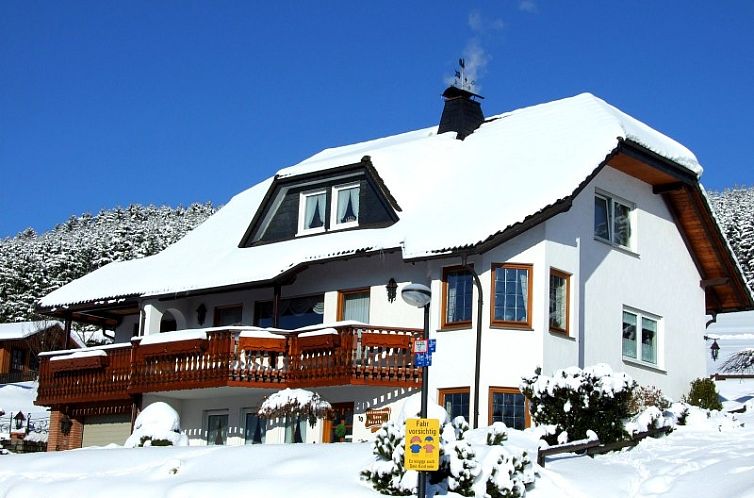 Ferienwohnung Winterberg, Haus Dorothee