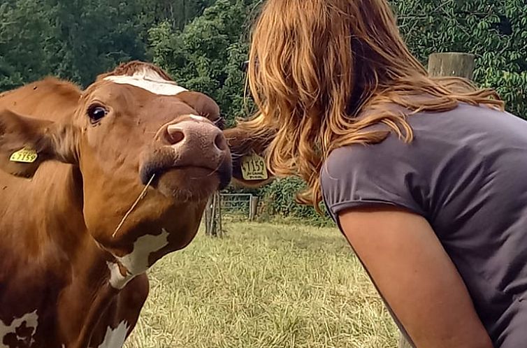 Vakantiehuisje in Neukirchen Vluyn