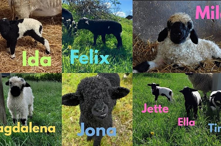 Huisje in Lennestadt