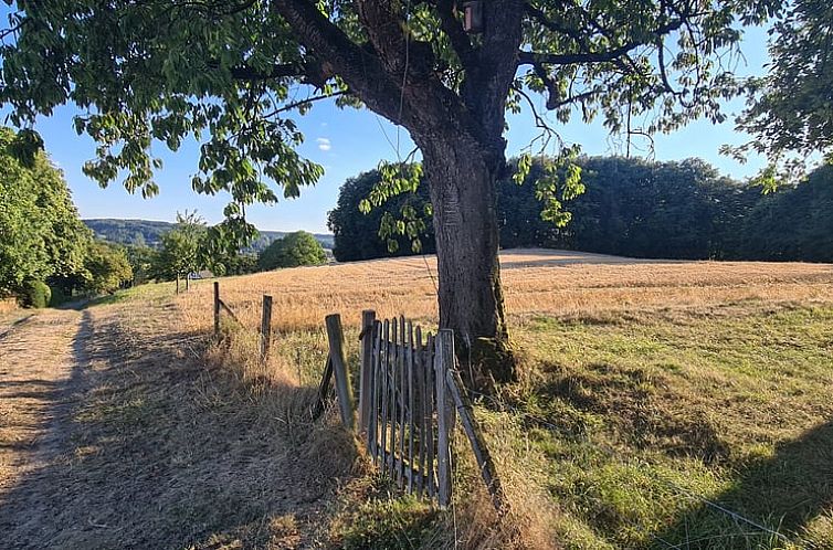 Prachtig uitzicht op de omgeving van Huisje in Tecklenburg, vakantieaccommodatie in Noordrijn-Westfalen, Duitsland.