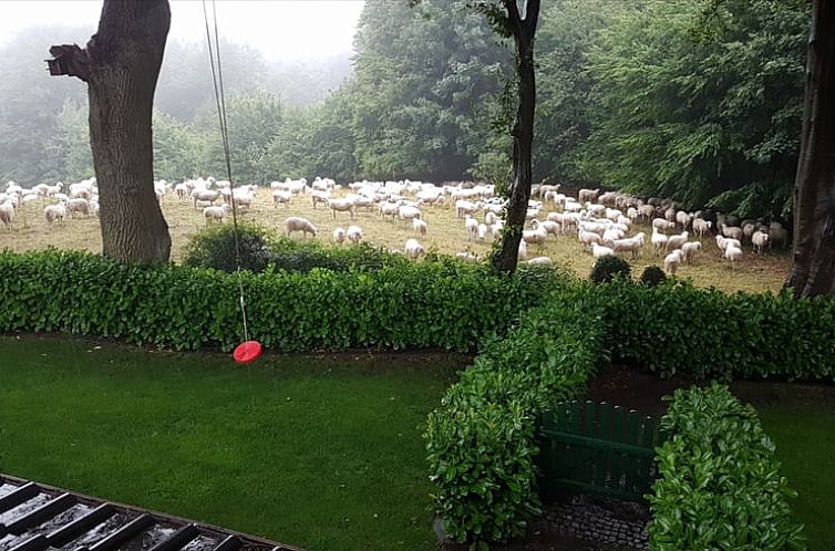 Huisje in Tecklenburg